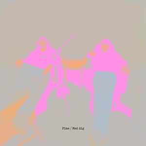 Fine / Med Dig (Explicit)