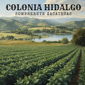 Corrido de Colonia Hidalgo