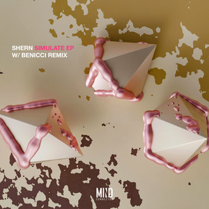 Simulate (Benicci Remix)