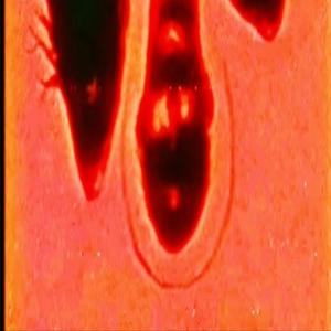 EVERYTHING YOU KNOW IS WRONG (YUMI3, Delancey Throne Remix)