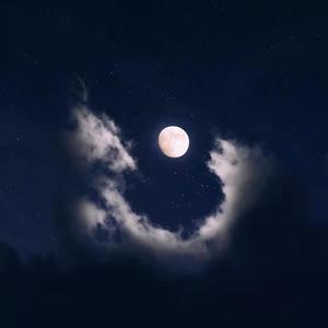 在世界的每一个角落想你