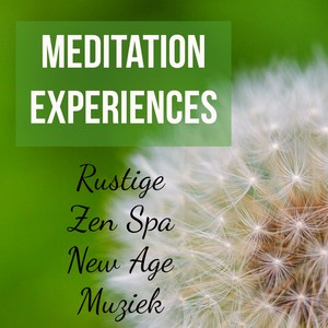 Meditation Experiences - Rustige Zen Spa New Age Muziek voor Reiki Behandeling Slaapcyclus en Chakra