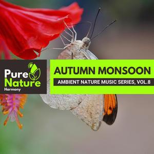 Autumn Monsoon - Ambient Nature Music Series, Vol.8