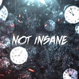 Not Insane (Explicit)