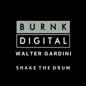 Shake The Drum (Original Mix)