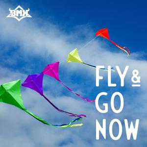 FLY & GO NOW