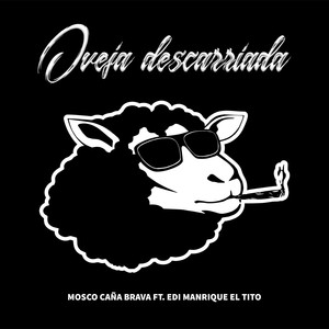 Oveja Descarriada