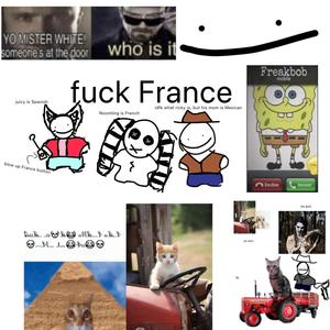 **** France (feat. JuicyJay6608 & Grimes Rick) [Explicit]