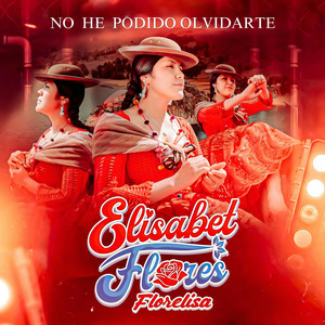 No He Podido Olvidarte