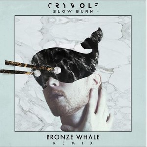 Slow Burn (Bronze Whale Remix)