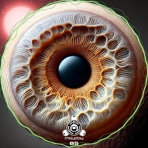 The Drums (feat. Knock)