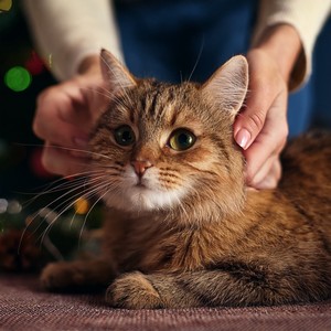 A Moment For Silent Stares