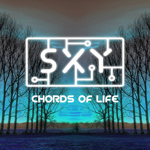 Dr. N.D.A. & Raubana - Chords Of Life