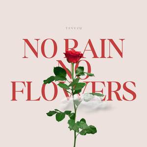 No Rain No Flowers