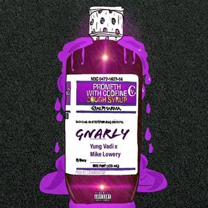 Gnarly (Explicit)