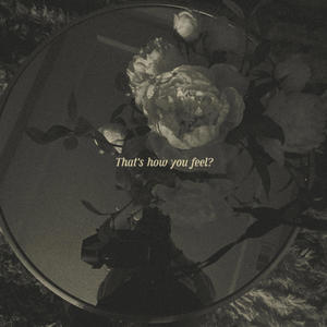 THATS HOW YOU FEEL? (feat. CALLMEDIM) (Explicit)