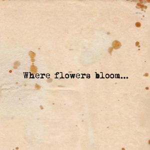 Where Flowers Bloom