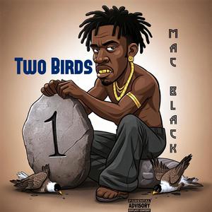 Two BIrds (Explicit)