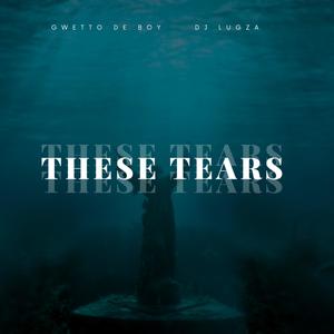 These tears (feat. DJ Lugza & Spiritchaser)