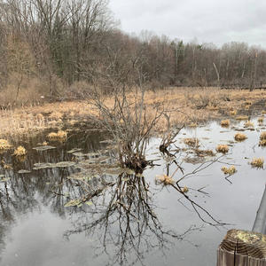 Fxded (feat. Dennis Dean) (Radio Edit|Explicit)