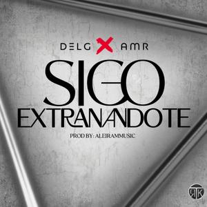 Sigo Extrañandote (feat. AMR)