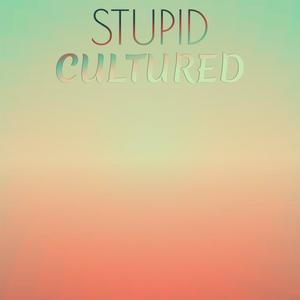 Stupid Cultured