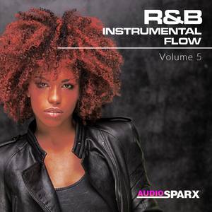 RnB Instrumental Flow Volume 5