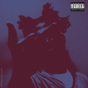 NIGGAS GONE JUSTIFY (Explicit)