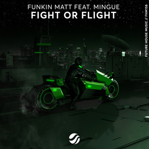 Fight Or Flight (Original Mix)
