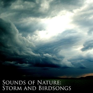 sounds of nature: storm and birdsongs