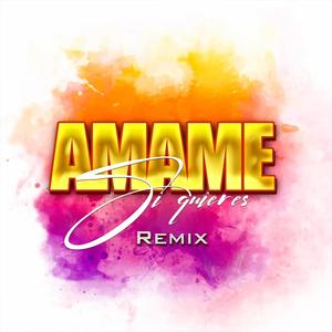 Amame Si Quieres (Remix)