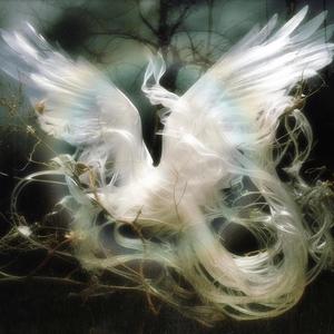 rental (feat. dripinoy) (Explicit)