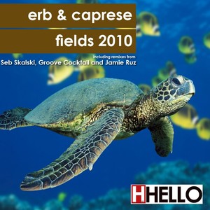 Fields 2010 (Groove Cocktail Remix)