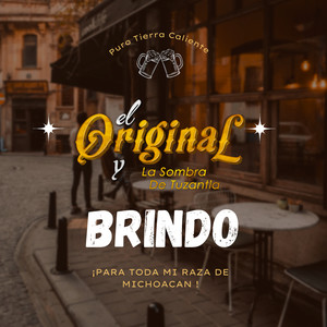 Brindo