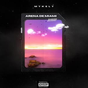 ARENA DE MIAMI