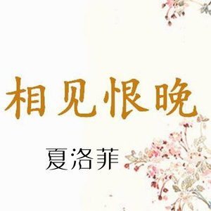 相见恨晚 (伴奏)