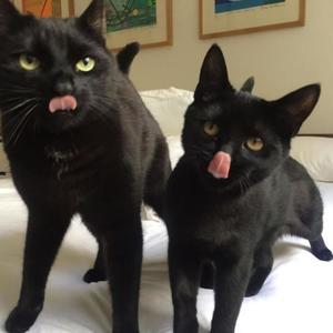 Sound Design (feat. Lubando) (Remix|Explicit)