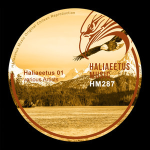 Haliaeetus 01