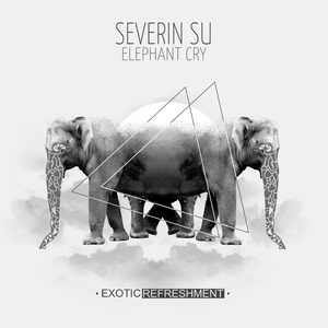 Elephant Cry (Baile Remix)