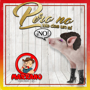 No Me das un Sí (Explicit)