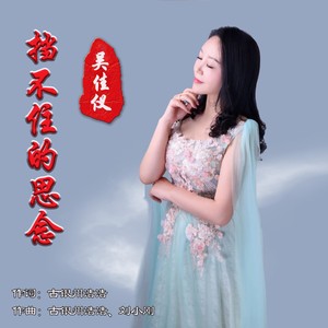 挡不住的思念 (伴奏)