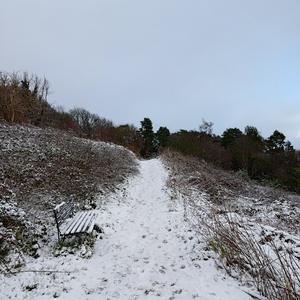 Ice cold (aim at a ****er) (Explicit)