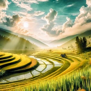 Từng Bước Nhẹ Nhàng