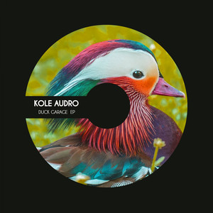 Duck Garage (Original Mix)