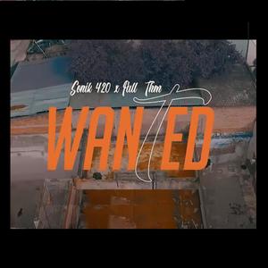 Wanted (feat. Sonik 420) (Explicit)
