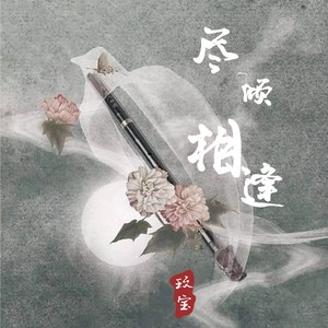尽倾相逢伴奏 (伴奏)