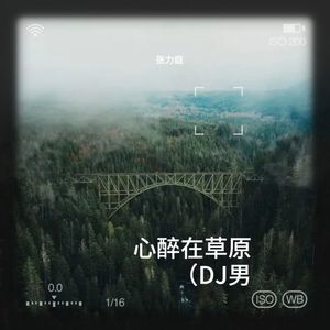 心醉在草原 (DJ男版)