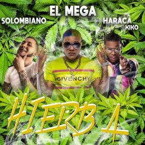 Hierba (feat. Haraca Kiko & El Mega) (Explicit)