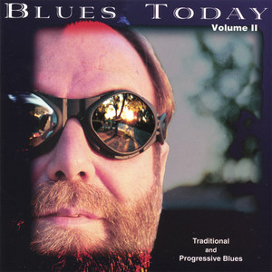 Blues Today Volume II