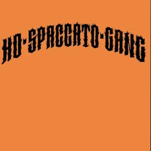 Ho Spaccato Gang (feat. Marco Messina & Strikkiboy)